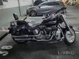 Harley Davidon 2008
