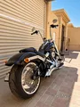 For Sale: 2020 Harley-Davidson Fat Boy 114