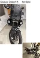 Ducati Desert X in top condition