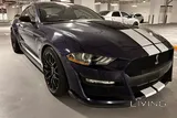 Mustang GT 2021 Manual Gear