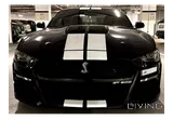 Mustang GT 2021 Manual Gear