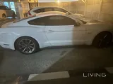 Mustang GT Premium (low mileage)