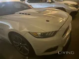 Mustang GT Premium (low mileage)