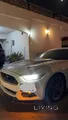 Mustang GT Premium (low mileage)