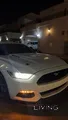 Mustang GT Premium (low mileage)