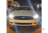 Mustang GT Premium (low mileage)