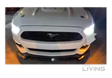 Mustang GT Premium (low mileage)