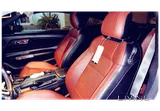 Mustang GT Premium (low mileage)
