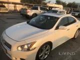 Nissan Maxima 2012