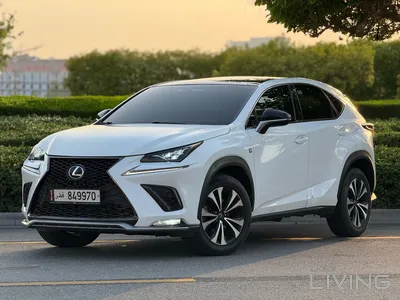 Lexus NX 300  2018