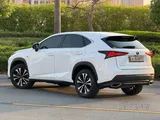 Nx f sport