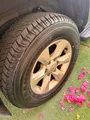 Only Green Prado in Qatar