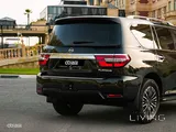 باترول بلاتينوم