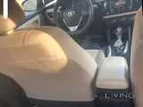 Perfect cindtion