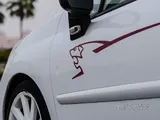 Peugeot 207 RC