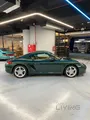Porsche cayman 2009