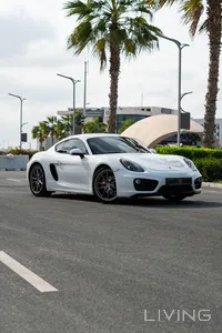 Porsche Cayman  2015