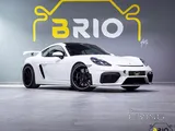 Porsche Cayman GT4 2020