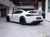 Porsche Cayman GT4 2020