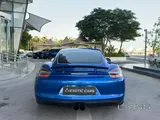 Porsche cayman GTS 2016