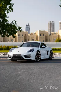 Porsche Cayman S 2014