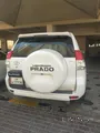 برادو