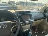 برادو