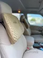 𝐍𝐢𝐬𝐬𝐚𝐧 𝐩𝐚𝐭𝐫𝐨𝐥 𝐩𝐥𝐚𝐭𝐢𝐧𝐮𝐦 𝐌𝐞𝐭𝐭𝐚𝐥𝐢𝐜 𝐠𝐫𝐞𝐲 - premium