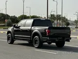 Raptor orignal paint