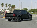 Raptor orignal paint