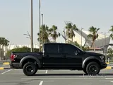 Raptor orignal paint