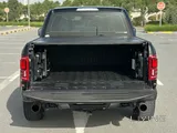 Raptor orignal paint