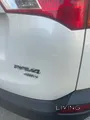 Rav-2015