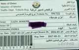 Renault Duster 2017 Model