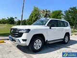 Land Cruiser  - Daily 600 QR