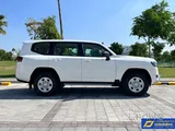 Land Cruiser  - Daily 600 QR