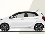 kia picanto 2024 model for rent