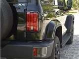 Haval Tank 300 Daily 350 Qr