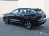 Jetour Dashing - Daily 200 QR