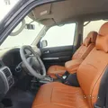 Safari