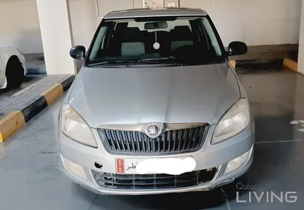 Skoda Fabia  2014