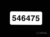 Fancy number
