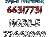 66317731 QR800