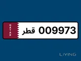 009973 is a fancy number 