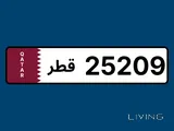 Special number 25209