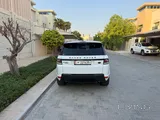Sport v8 dynamic zero accidents