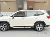 Subaru Forster 