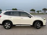 Subaru Forster 