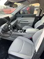 TERRITORY TREND W/PANORAMIC ROOF