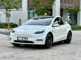 Tesla Model Y Performance 2024